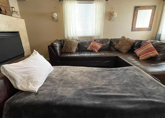 Family Comfort Gas Fires Grill Playground Full Ac Heat *